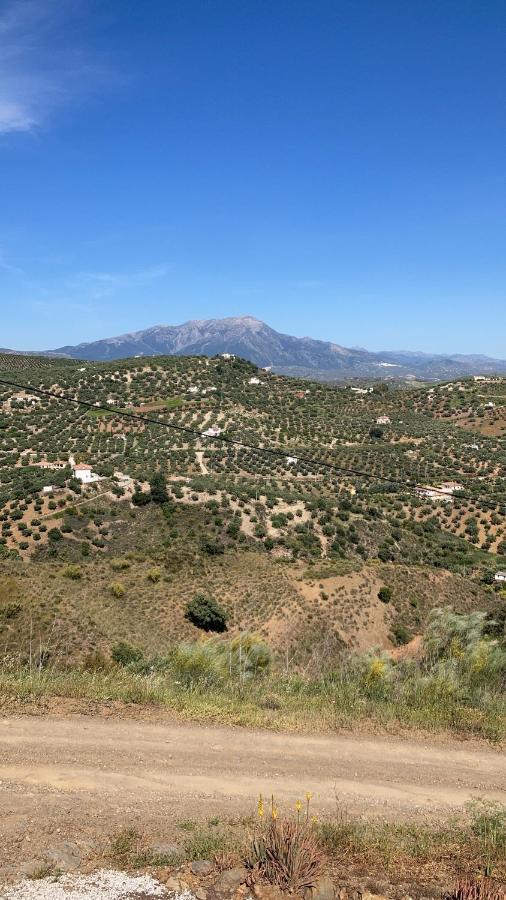مبيت وإفطار Ríogordo Casa La Quinta المظهر الخارجي الصورة