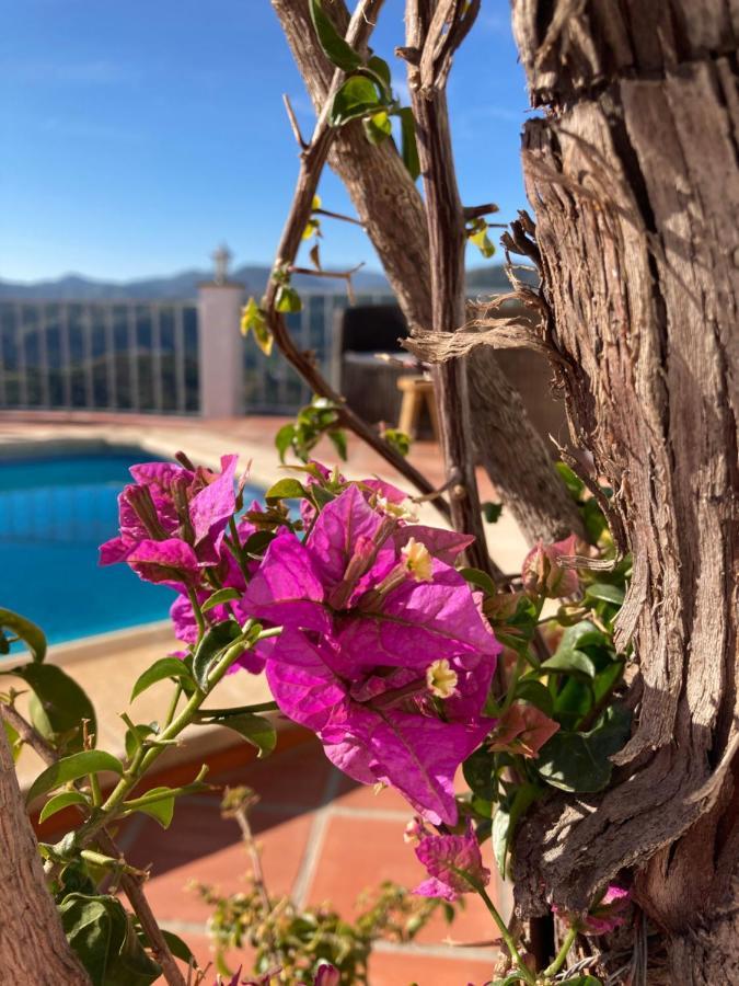 مبيت وإفطار Ríogordo Casa La Quinta المظهر الخارجي الصورة